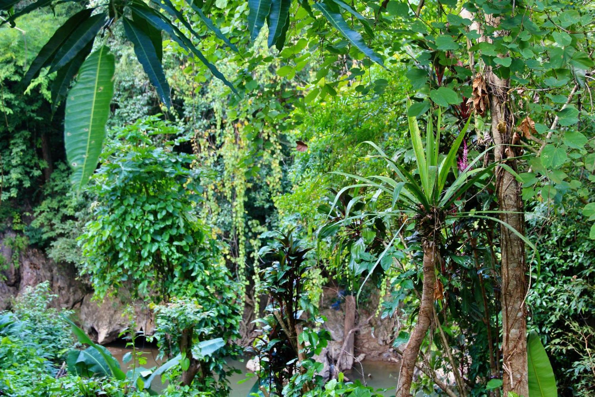 Aerie Lodge Pang Mapha Exterior photo